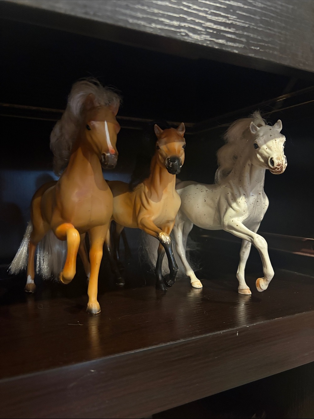 Grand Champion Horses